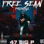 Free Sean Freestyle (Explicit)