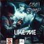 Like Me (Explicit)