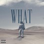 What (Explicit)