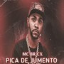 Pica de Jumento (Explicit)