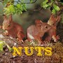 Nuts