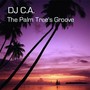 The Palm Tree's Groove