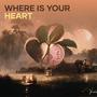 Where is your heart