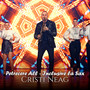 Petrecere All - Inclusive la Sax