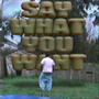 SAY WHAT YOU WANT (Explicit)