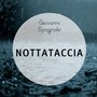 Nottataccia