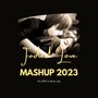 Faded Love Mashup 2023