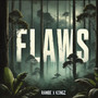 Flaws (Explicit)