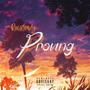 Proving (Explicit)