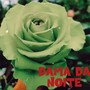 Dama da Noite