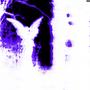 #disguise.act2 (Explicit)