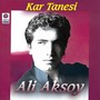 Kar Tanesi