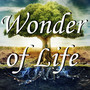 Wonder of Life