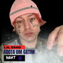 Beat - Adota Um Gatin