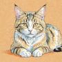 Horas de Terciopelo: Ambiente Relajante para Gatos