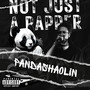 Not Just A Rapper (Explicit)