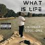 What Is LIFE (Explicit)