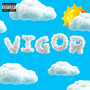 VIGOR (Explicit)