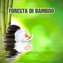 Foresta di bamboo