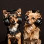 Playful Paws: Rhythmic Tunes for Dogs