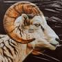 RAM (Explicit)