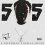 505 a Different Florida Sound (Explicit)