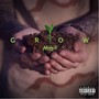 Grow (Explicit)