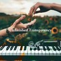 Unfinished Transparency