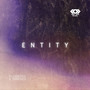 Entity