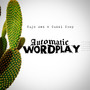 Automatic Wordplay (Explicit)