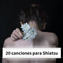 20 Canciones para Shiatsu - La Mejor Música de Fondo Terapia Relajante, Curativa y Natural, Euilibrio de Energía