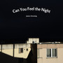 Can You Feel the Night