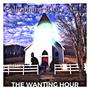 The Wanting Hour