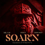 SOAR'N (Explicit)