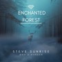 Enchanted Forest