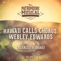 Les plus belles musiques du monde : Vacances à Hawaï, Vol. 1
