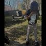DeadBoy Freestyle 4 (Explicit)