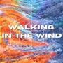 Walking in the wind