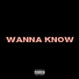 Wanna Know (Explicit)