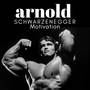 Arnold Schwarzenegger Motivation - Best Motivational Speech 2023