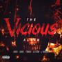 The Vicious Album (Explicit)