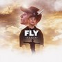 Fly