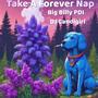 Take A Forever Nap (feat. DJ Candigirl)