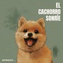 El Cachorro Sonríe