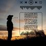 South Texas Swing