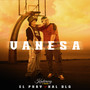 VANESA (Explicit)