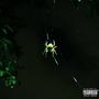 cobwebs (Explicit)