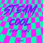 Steam Cool