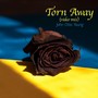 Torn Away (Video Mix)