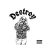 Destroy (Explicit)